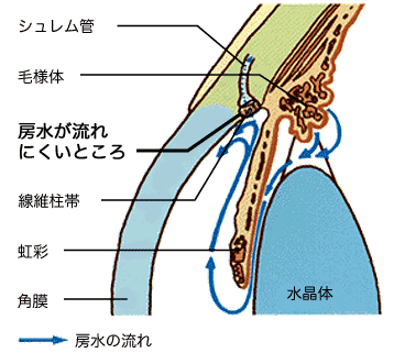 JpΓ